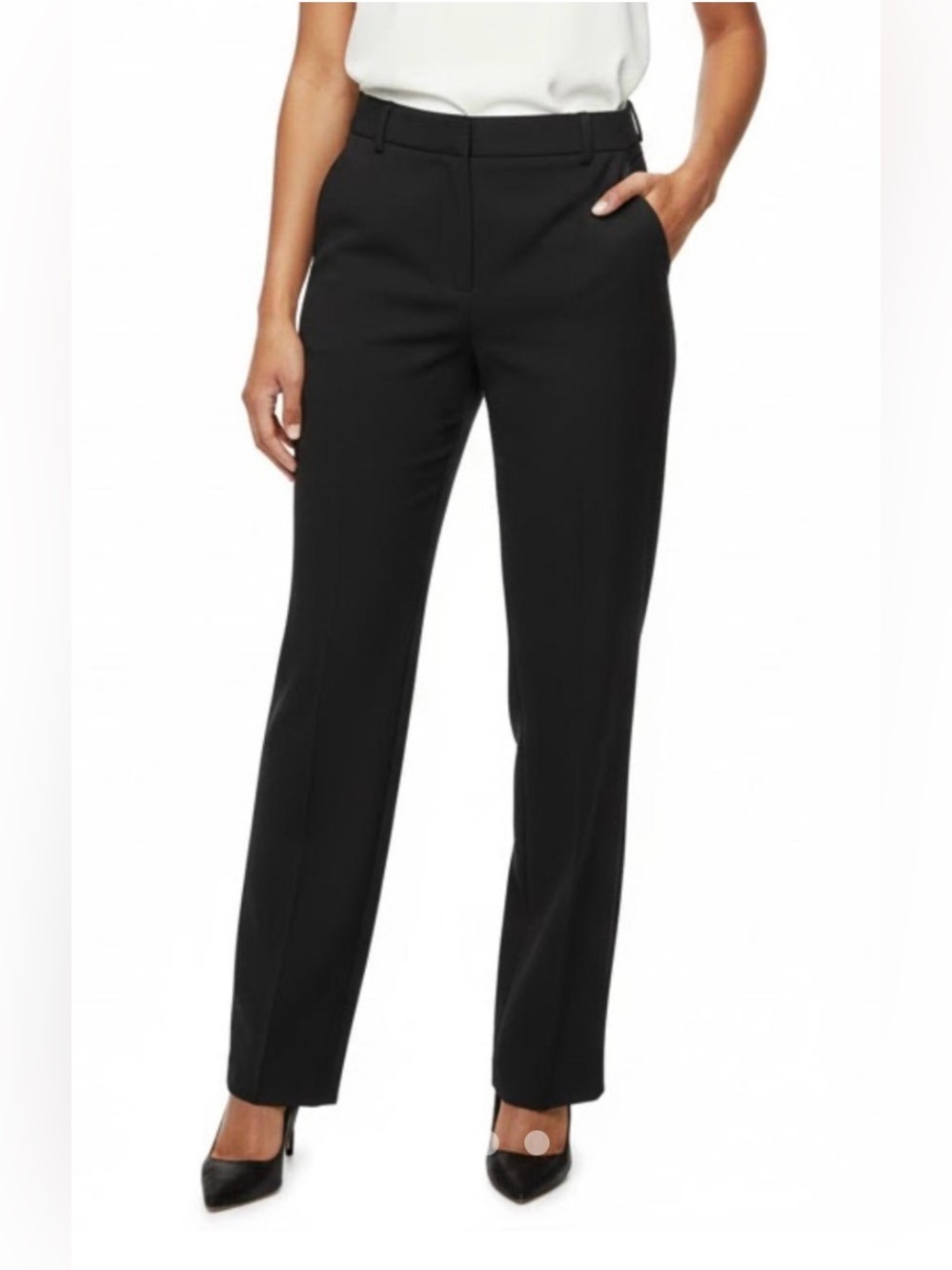 Ann Taylor Devin Fit Dress Pants